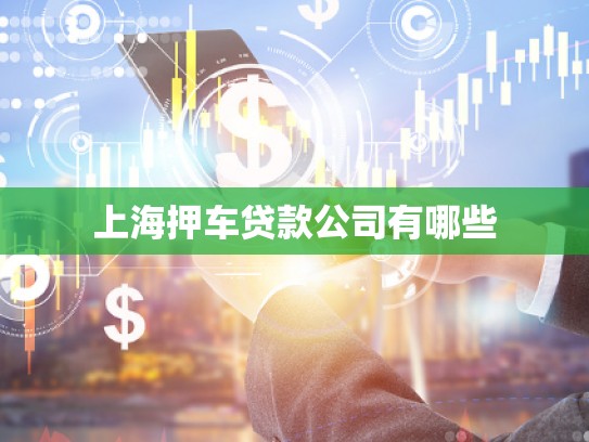上海押車(chē)貸款公司有哪些 上海押車(chē)貸款公司有哪些