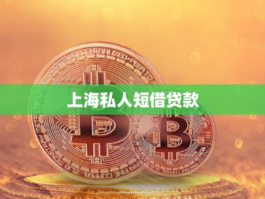 上海私人短借貸款