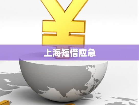 上海短借應(yīng)急 上海短借應(yīng)急
