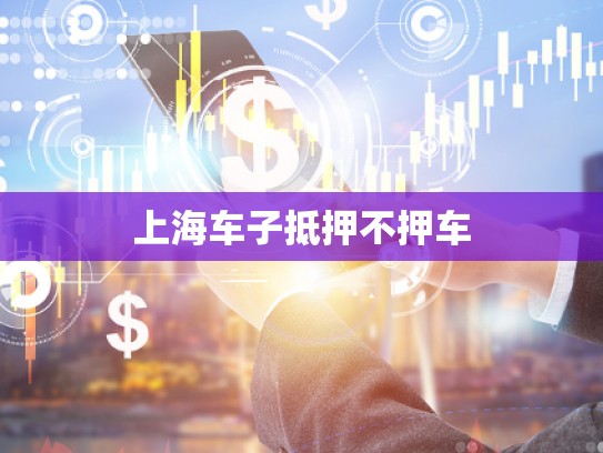 上海車(chē)子抵押不押車(chē) 上海車(chē)子抵押不押車(chē)