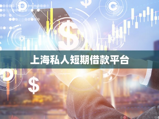 上海大額私人借款