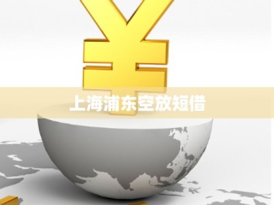 上海浦東空放短借