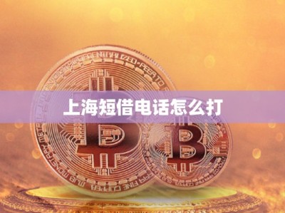 上海短借電話(huà)怎么打
